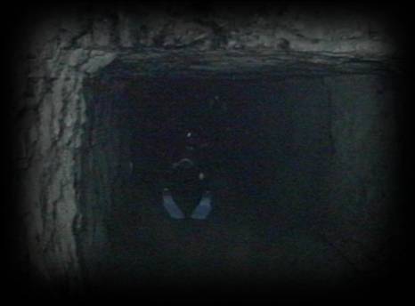 pic3